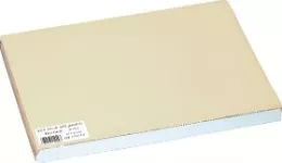 Set de table 30x40cm Ivoire COLOR (A)